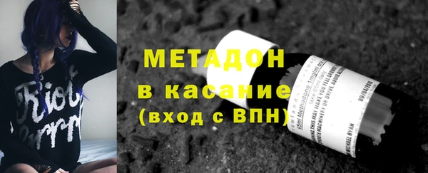 прущие грибы Ладушкин