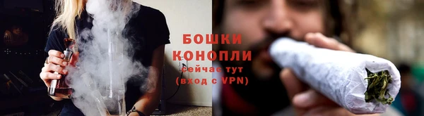 трава Лагань