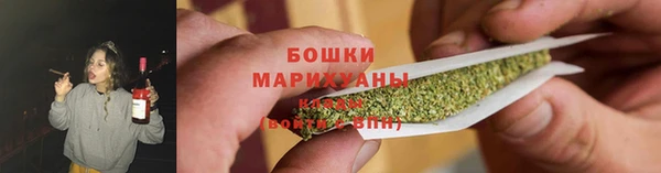 прущие грибы Ладушкин