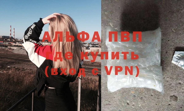 прущие грибы Ладушкин