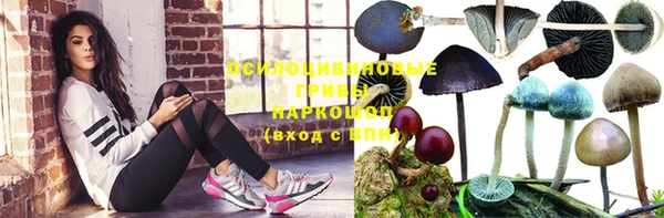прущие крисы Лабытнанги