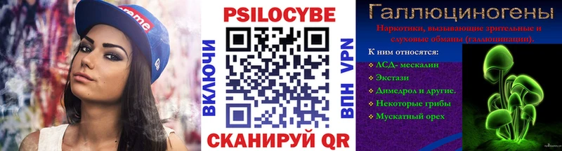 Псилоцибиновые грибы Psilocybine cubensis Купить где Николаевск-на-Амуре
